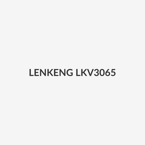 LENKENG LKV3065 - RCA to HDMI Converter. Instantly Converts Upscales AV Media to HDMI @720P/1080P