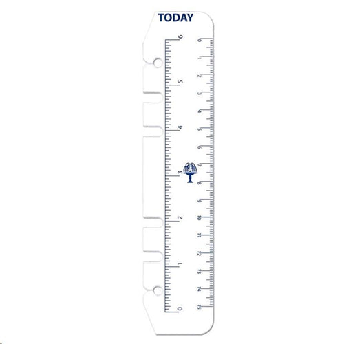 Debden Personal Dayplanner Today Ruler, Pack of 2