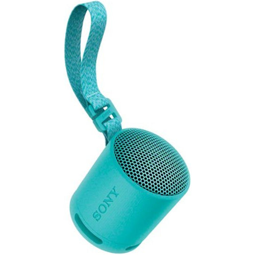 Sony SRS-XB100 Wireless Portable Bluetooth Speaker - Blue