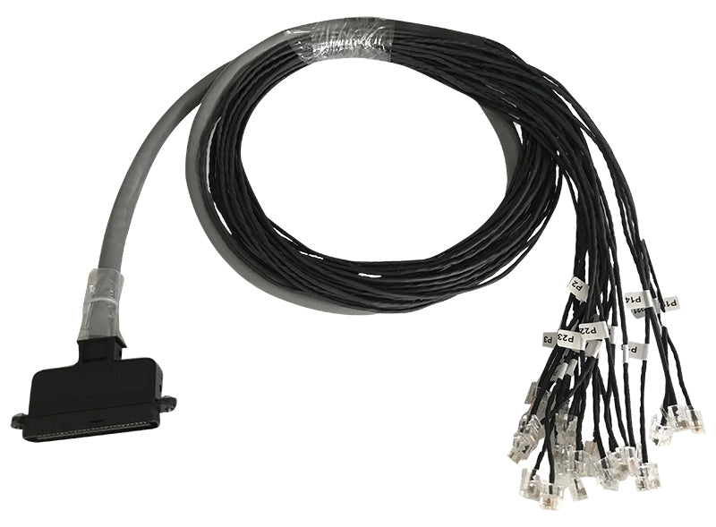 Grandstream Networks 10-50TELCO24RJ1 - 6 FT Cable (50 PIN TELCO-to-24 RJ11) for Patton SN4324, 4424 and 4924