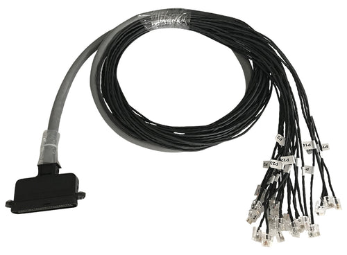 6 FT Cable (50 PIN TELCO-to-24 RJ11) for Patton SN4324, 4424 and 4924