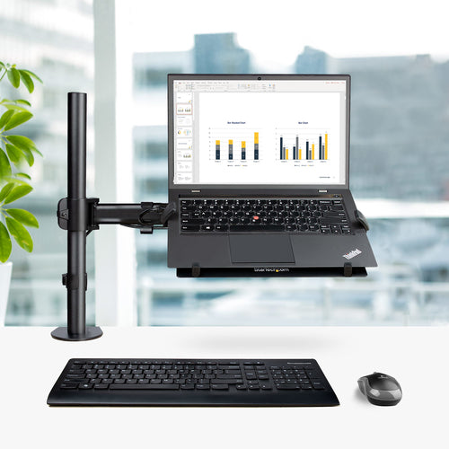STARTECH.COM LAPTOP DESK MOUNT, VESA MONITOR AND LAPTOP ARM MOUNT 5 YR