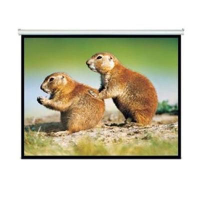 BRATECK 150'' Projector Screen Manual Self Locking Matte 4:3 Aspect ratio