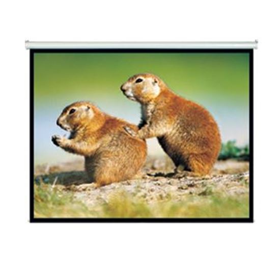 BRATECK 150'' Projector Screen Manual Self Locking Matte 4:3 Aspect ratio