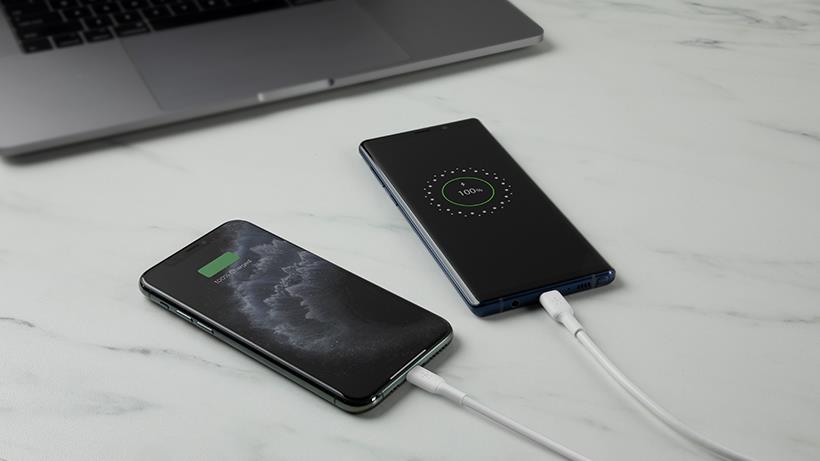 Belkin 24W Dual USB-A Wall Charger with USB-A to USB-C Cable