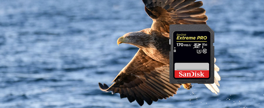 SDSDUN4-032G-GN6IN - SANDISK ULTRA SDHC SDUN4 32GB C10 UHS-I 120MB/S R 4X6 10Y