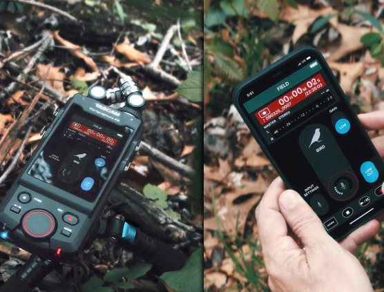 PORTACAPTUREX8 - TASCAM PORTACAPTURE X8 MULTI TRACK HANDHELD RECORDER