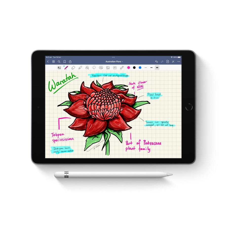 MYQW3ZA/A - Apple Pencil (1stGeneration)