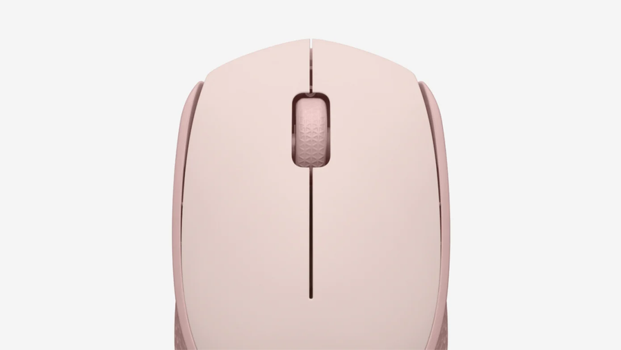 Logitech 910-006869 - M171 KABELLOSE MAUS - BLAUGRAU