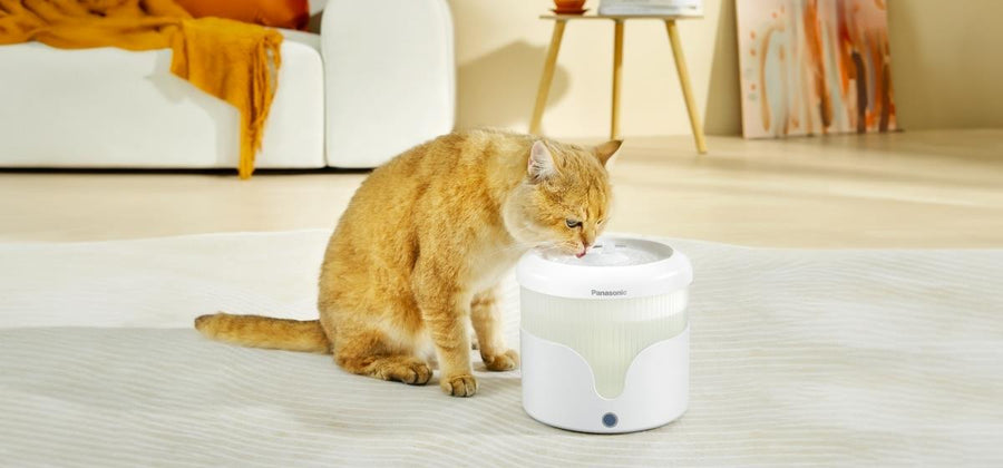 CP-JNW01FW - PET DRINKING FOUNTAIN