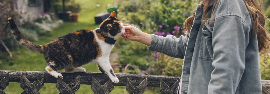 Tractive Mini GPS Cat Tracker - Subscription Required - Midnight Blue