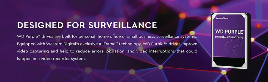 Western Digital WD11PURZ - WD Surveillance Purple 1TB 3.5" Internal HDD