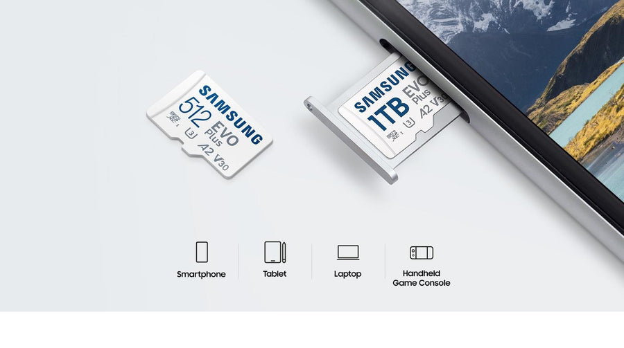 Samsung EVO PLUS  microSDXC Memory Card - 256GB