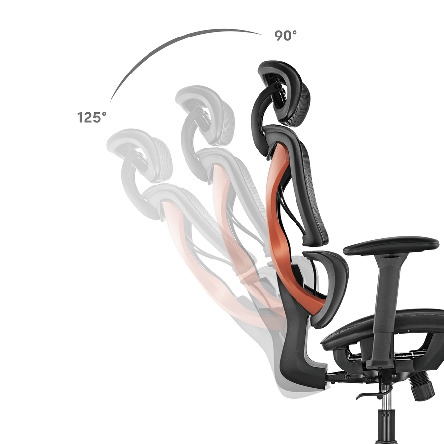 BRATECK CH05-31 - SpineX Ergonomic Office Chair w/ Posture Enhancement