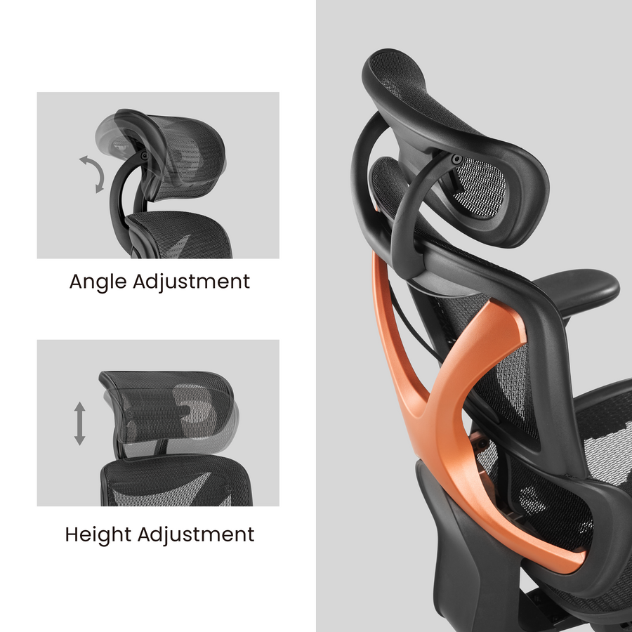 BRATECK CH05-31 - SpineX Ergonomic Office Chair w/ Posture Enhancement