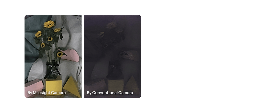 MS-C8176-PE - Milesight 4K NDAA AI 180° Panoramic Mini Dome Network Camera
