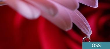 SEL90M28G - Sony Alpha SEL90M28G FE 90mm F2.8 Macro G OSS E Mount Lens