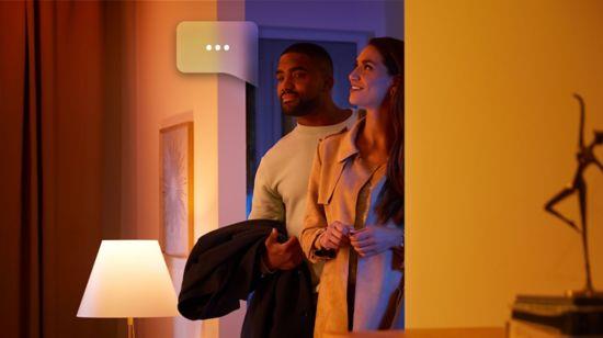 HUE151402 - Philips Hue Lightguide Triangle E27 Bulb