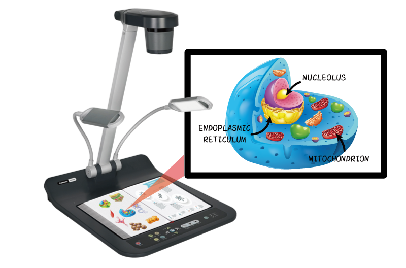 Lumens PS753 - 4K Desktop Document Camera with HDMI/VGA/USB and IP streaming