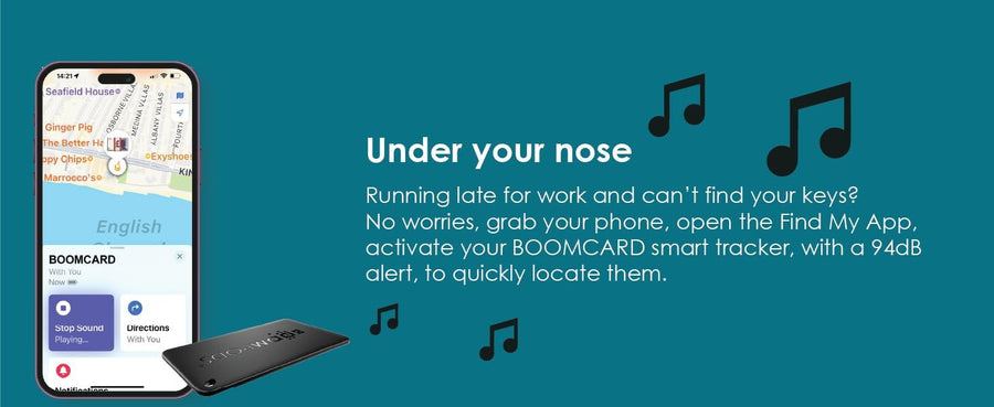 PASSMB - Boompods Passport holder + Boomcard rechargeable
