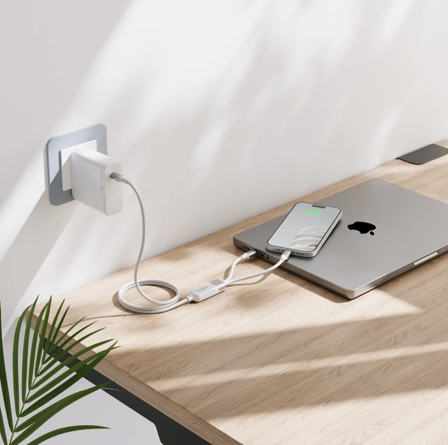ALOGIC AS2CC-WH - Splt 2-in-1 USB-C to C Chrg Cbl 100W Wht