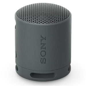 SPA773 - Sony SRSXB100H Wireless Speaker Grey