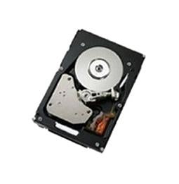Lenovo 00FN238 2TB 3.5" Internal HDD NL-SAS 12Gb/s - 7200 RPM - G2HS - 512e