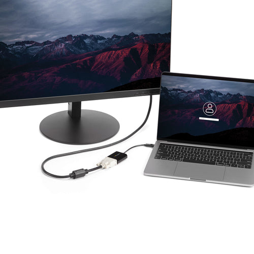 StarTech.com CDP2DVI - USB-C to DVI Adapter