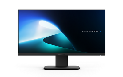 P440VAK-BPCI42X - ASUS P440VAK-BPCI42X 24" FHD AIO Core 7 240H 16GB 512GB Win11Pro