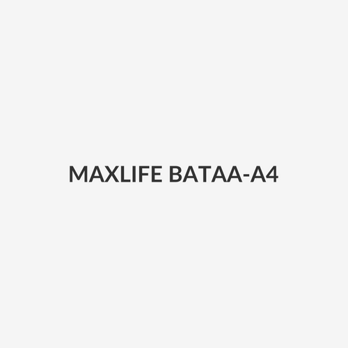 MAXLIFE BATAA-A4 - AA Alkaline Battery 4 Pack
