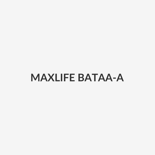 MAXLIFE BATAA-A - AA Alkaline Battery 20 Pack
