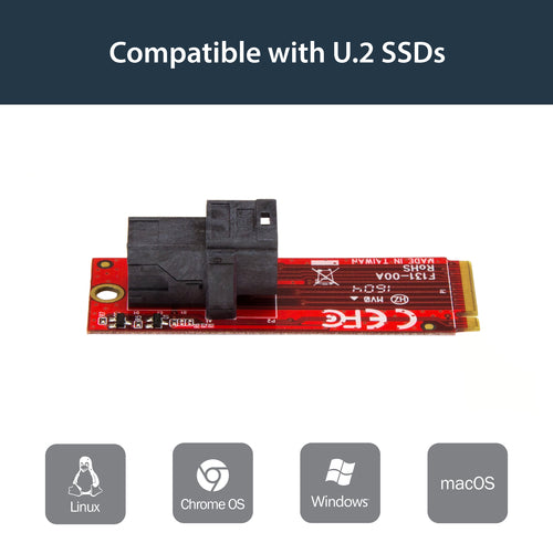 StarTech.com M2E4SFF8643 - U.2 to M.2 Adapter for 2.5 U.2 NVMe SSD