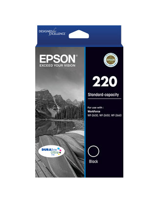 Epson C13T293192 - 220 (C13T293192) Std capacity black ink