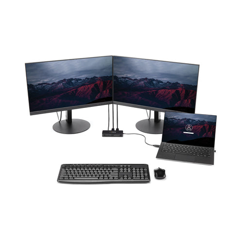 StarTech.com USBA2DPGB - USB to Dual DisplayPort Mini Dock - 4K