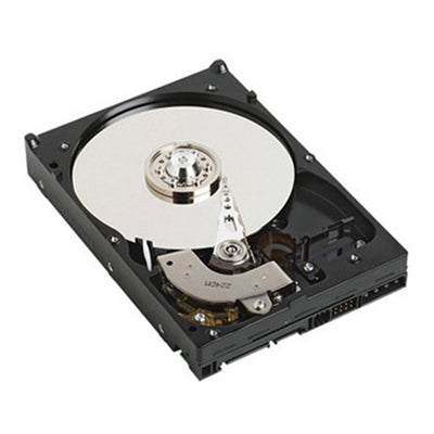 H523N - Dell 300Gb SAS 6G 10K SFF DP HDD - APN