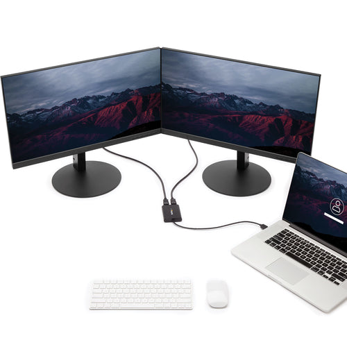 StarTech.com USB32DP24K60 - Adapter USB to Dual DisplayPort 4K 60Hz