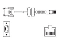 ZEBRA BL17205-1 LXE: 6ft Straight locking AP DTR DB-9M