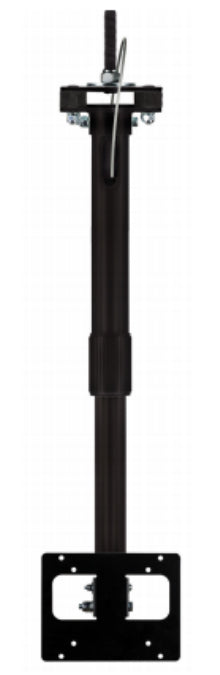 Zebra BR-000238-02