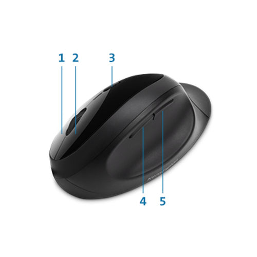 KENSINGTON K75404WW - PRO FIT ERGONOMIC WIRELESS MOUSE - BLACK