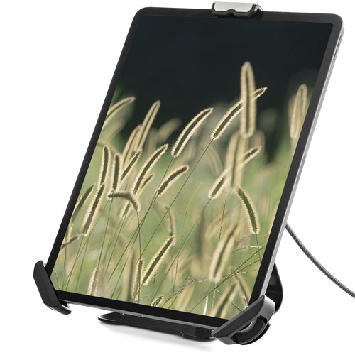 StarTech.com SECTBLTDT - Secure Tablet Stand/Mount - 7.9-13 inch