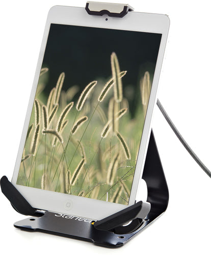 StarTech.com SECTBLTDT - Secure Tablet Stand/Mount - 7.9-13 inch
