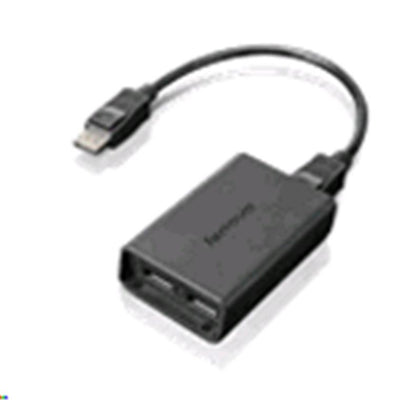 Lenovo 0B47092 DisplayPort to Dual DisplayPort Monitor