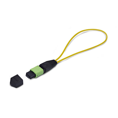StarTech.com 6816988 Single Mode MPO-12 Female Loopback Plug