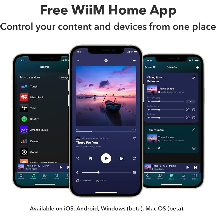 WiiM Pro   Wireless WiFi + Bluetooth Audio Streamer