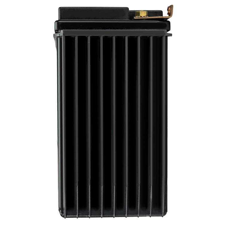 Odyssey PC625 12v 265ccA AGM Battery