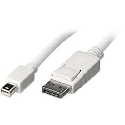8WARE RC-MDPDP-2 - Mini DisplayPort to DisplayPort Cable M-M 2m