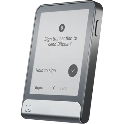Ledger FLEX-RKEY-ENZHSZHTTH - Flex Graphite + Recovery Key - AU