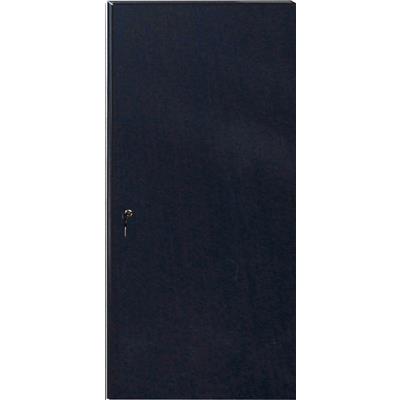 DYNAMIX Solid Front or Back Door for 45RU 600mm Wide SR Series Cabinet