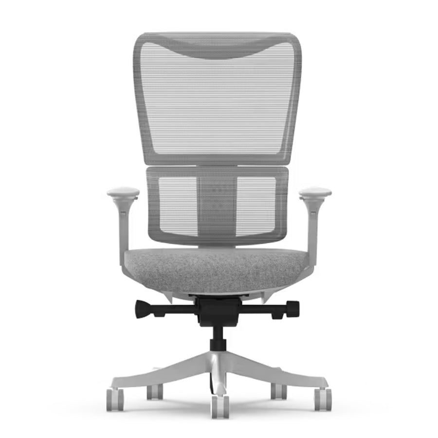 FlexiSpot BS8 Pro Premium Ergonomic WFO & WFH Office Chair - Mesh Backrest & Comfy Cushion Seat, 3D Rotating Armrest, Max Load 150kg