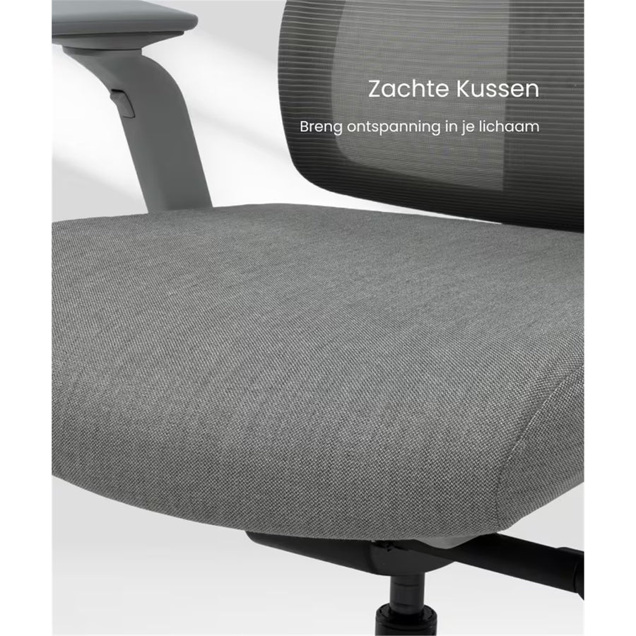 FlexiSpot BS8 Pro Premium Ergonomic WFO & WFH Office Chair - Mesh Backrest & Comfy Cushion Seat, 3D Rotating Armrest, Max Load 150kg